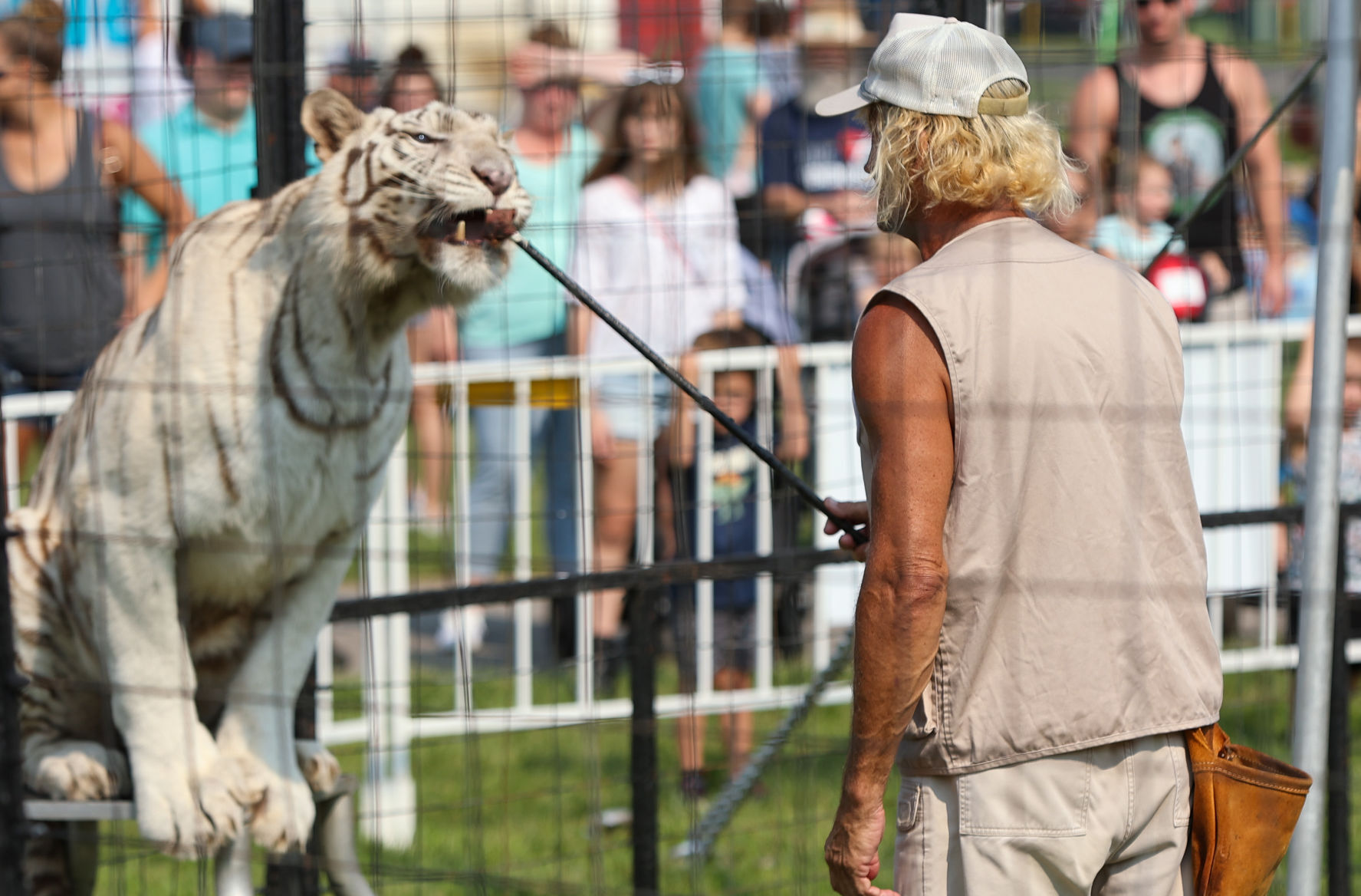 Brunon Blaszak's Royal Tiger Show